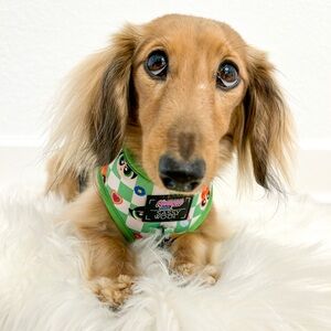 Woof Pet Dog Harness and Leash Set - Green